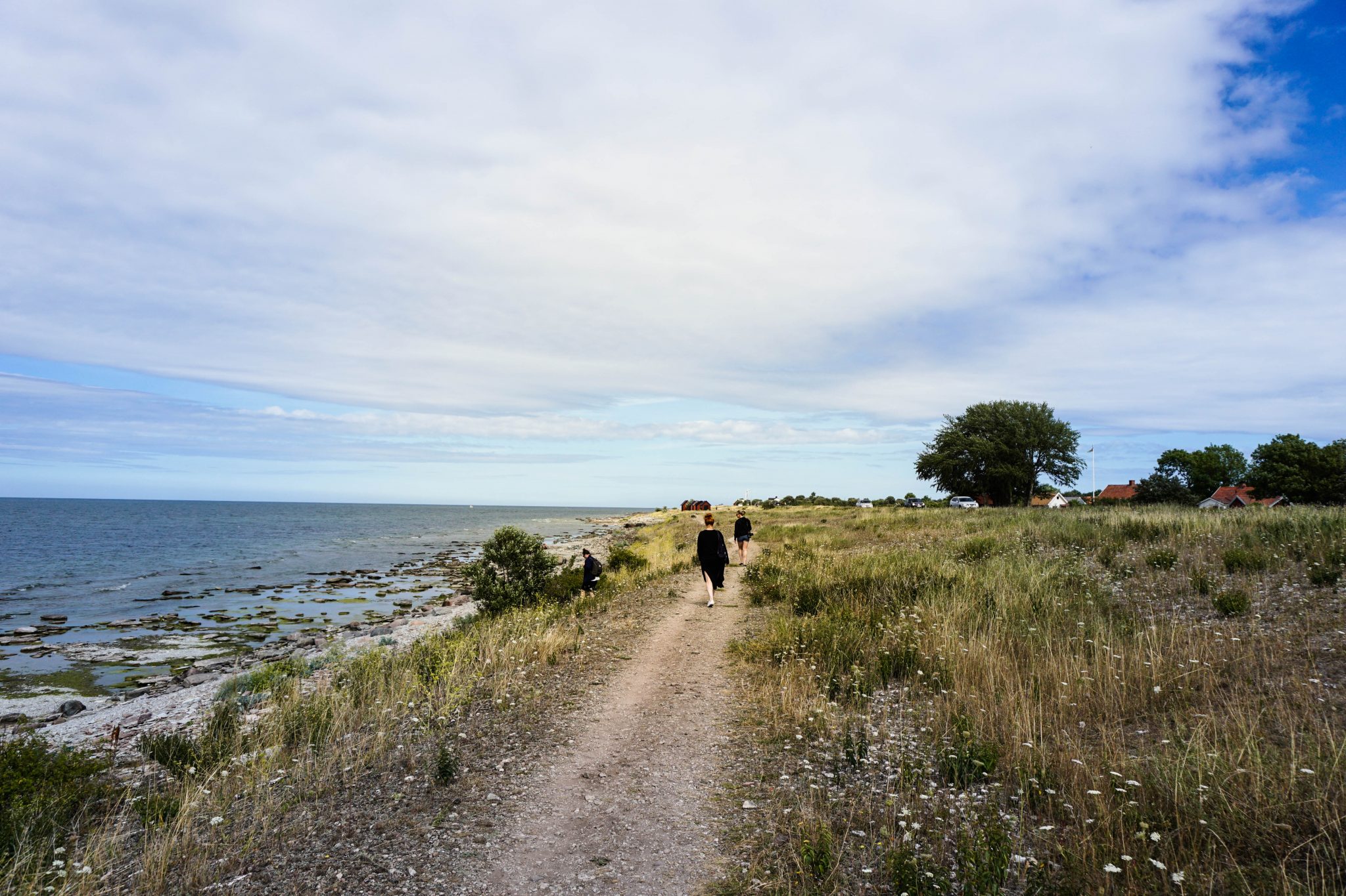 Neptuni åkrar