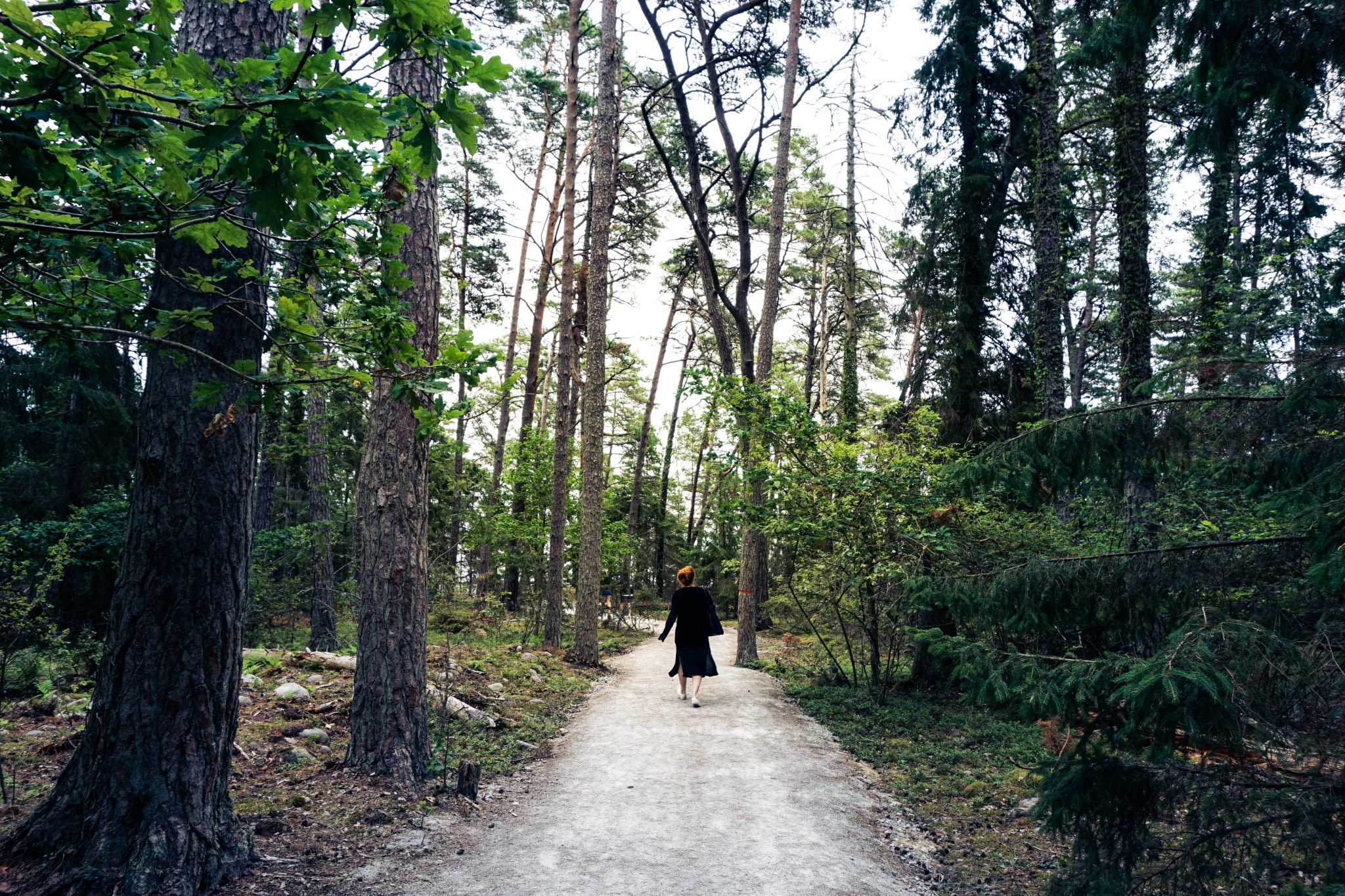 Trollskogen Öland